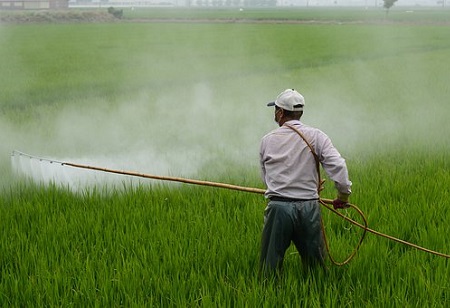 Nəyə görə geniş yarp Herbicid qayğısına qalmaq üçün vacibdir?