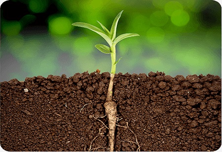 Bişiklər üçün güclü təmizliyə.