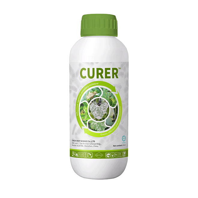 CURER®- Fungal xəstəliklər üçün ehtiyatı