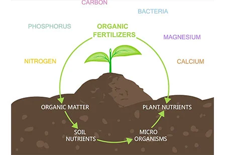 Ekoloqiya sahifəsi inkişaf etdir və biological ehtindən yaxşı istifadə edin