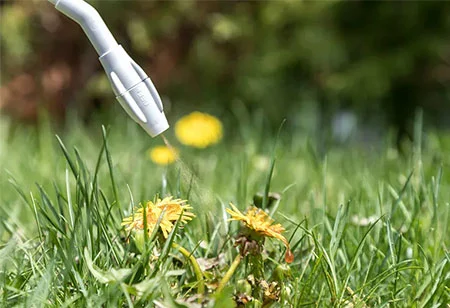 Herbicidin tədqiqatı