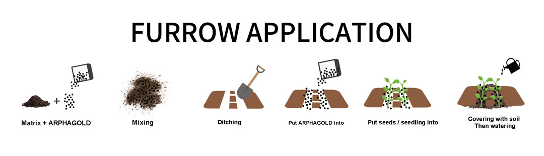 arphagold-application-guideline-for-rice-corn-cassava-potato-and-sugarcane-07.jpg