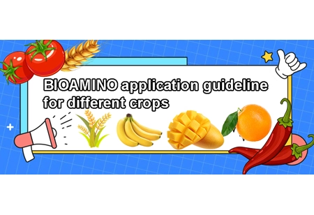 CİKO BIOAMINO™Proqramı